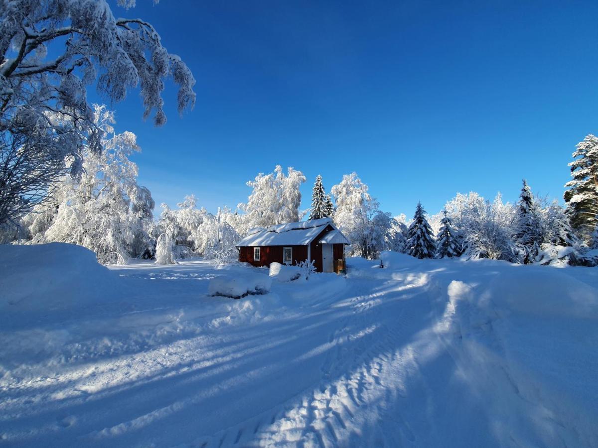 Luxury Guesthouse 'Lodge Lagom' - Hammarstrand-Jaemtland Экстерьер фото
