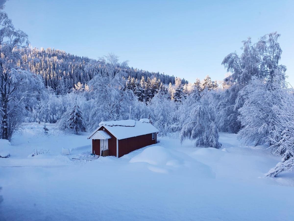 Luxury Guesthouse 'Lodge Lagom' - Hammarstrand-Jaemtland Экстерьер фото