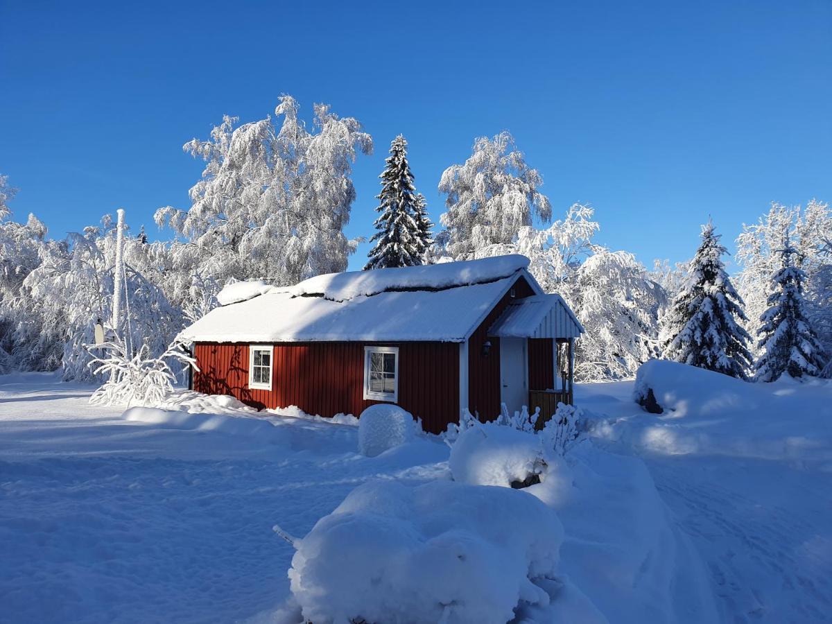 Luxury Guesthouse 'Lodge Lagom' - Hammarstrand-Jaemtland Экстерьер фото